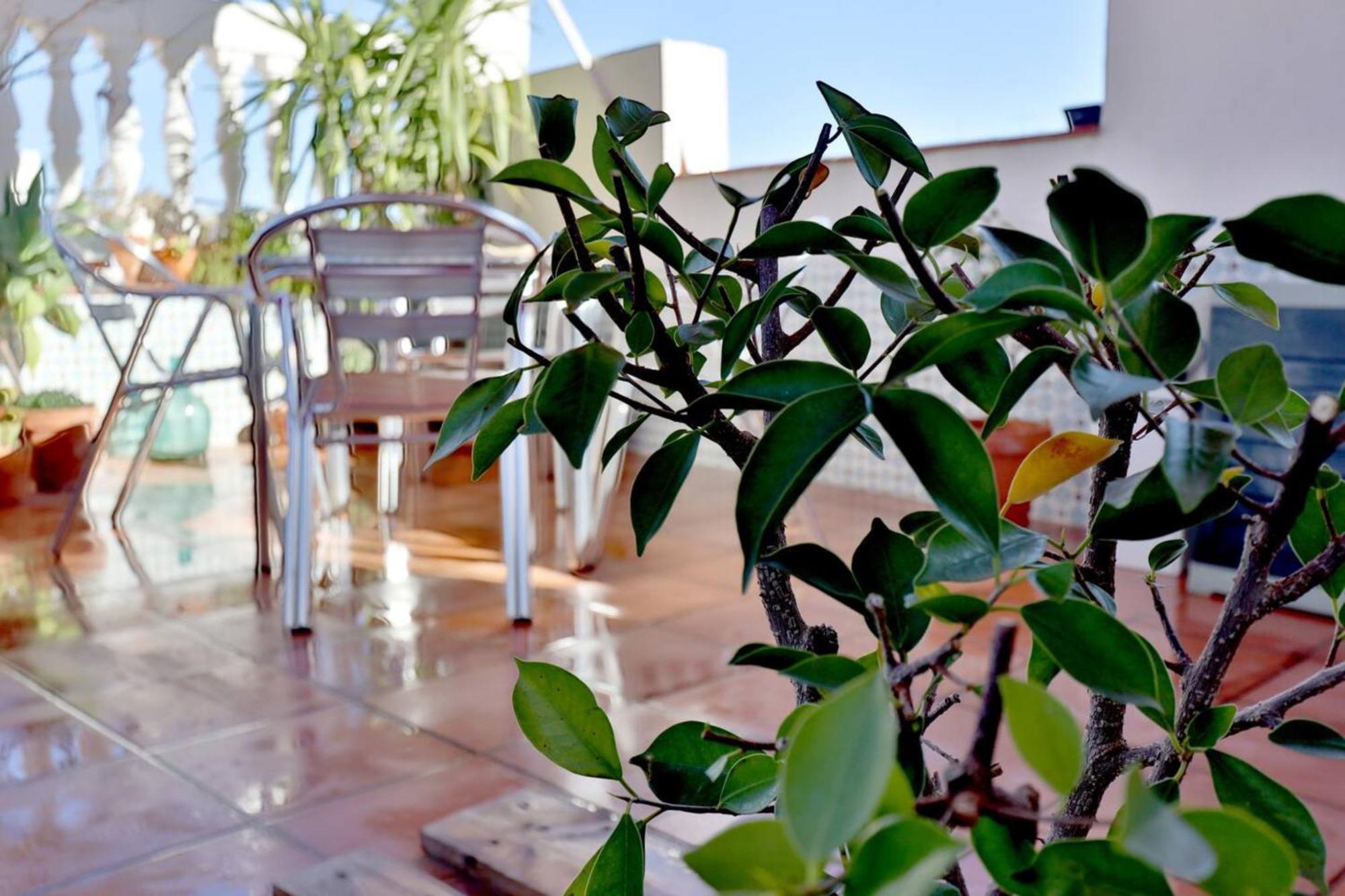 Atico Con Terraza En Pleno Centro Córdoba Exterior foto